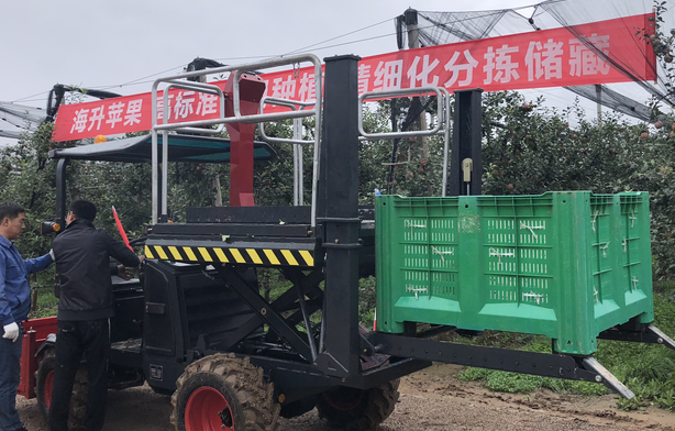 草莓视频黄片免费下载,草莓视频黄片免费下载厂家