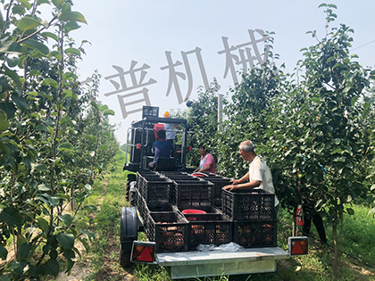 草莓视频APP污污污下载