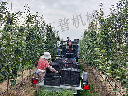 草莓视频APP污污污下载