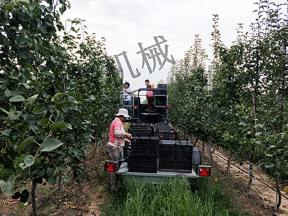 草莓视频APP污污污下载