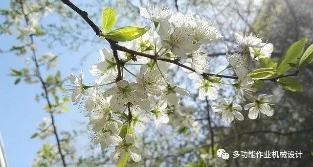 多功能果园作业平台--果园管理的好搭档！