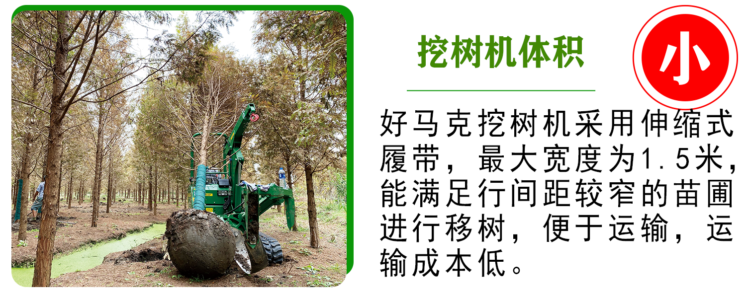 好马克草莓视频黄片免费下载