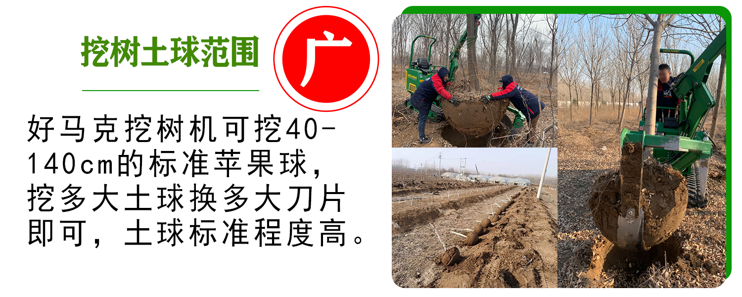 好马克草莓视频黄片免费下载