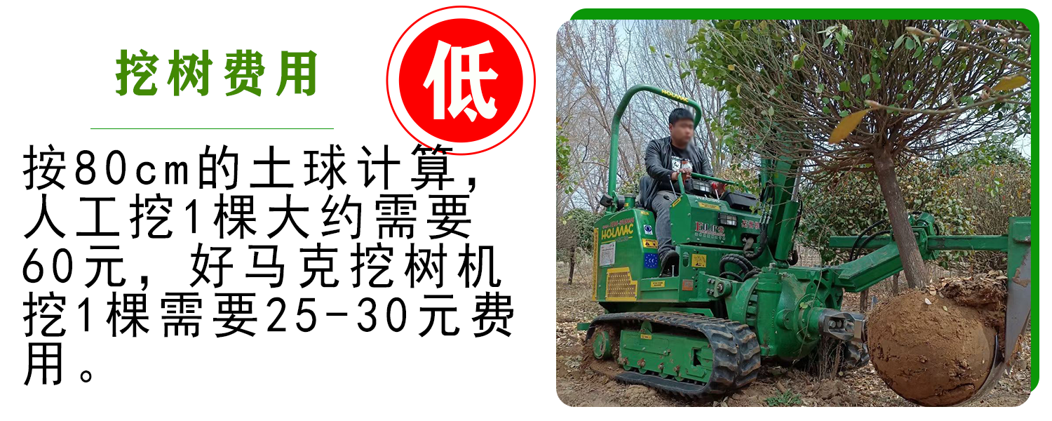 好马克草莓视频黄片免费下载