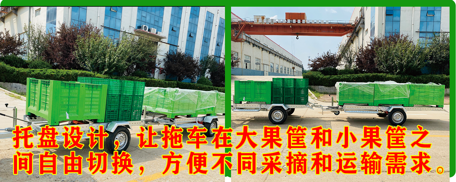 果园运输草莓视频APP污污污下载