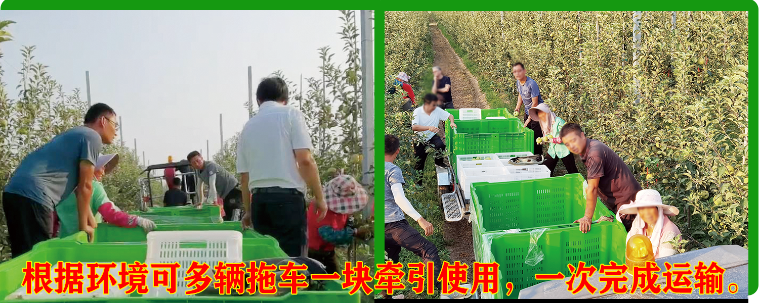 果园运输草莓视频APP污污污下载
