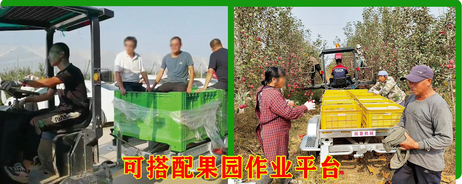 果园运输草莓视频APP污污污下载