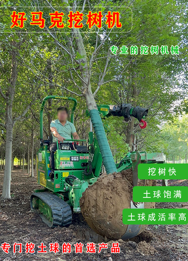 草莓视频黄片免费下载 1.png