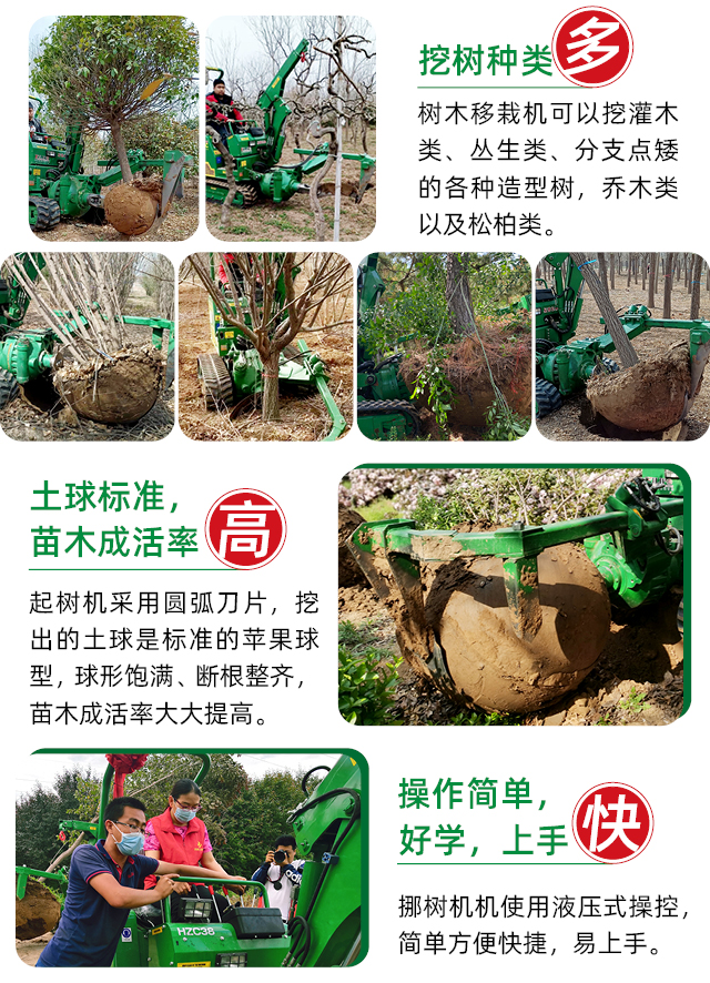 草莓视频黄片免费下载6.jpg
